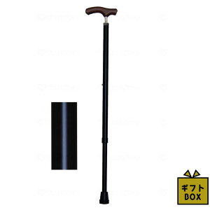 Mtg{bNXdl EFt@ CtXebL XlbNLkx[VbN^Cv(n) ubN