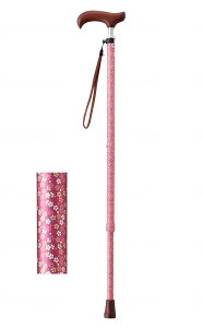 CtXebL XlbNLkX^Cv() X߂ S5385/1031