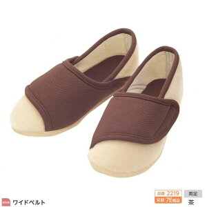 ̔ Y ݃V[Y Chxg 2219 7E 