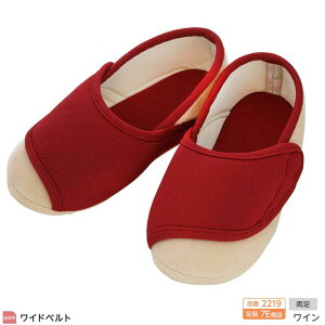 ̔ Y ݃V[Y Chxg 2219 7E C