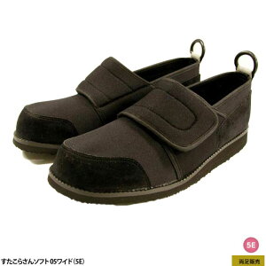 ̔ AXeBR 炳\tg05 Ch jp 5E