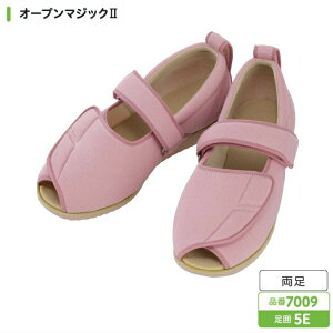 V[Y ₷ Y ݃V[Y I[v}WbN2 5E 7009 ̔