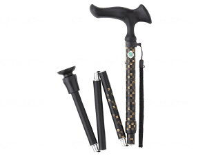 tWz[ 邪E ܏S WB3793 s