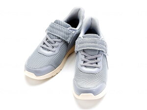 V[Y C jp Y CtXebv 3E 1606 {ݗpEOop ̔