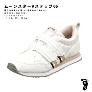�Б��̔� ���[���X�^�[ V�X�e�b�v 06 �j�����p ���V���[�Y ���n�r���V���[�Y �����O���p �����₷�� �Ў�ŗ����� ����Ή� ���L 3E 4E 5E �R�� �y�� ���C ����� ���[���X�^�[�V���[�Y V�X