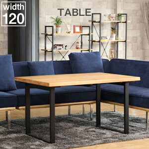 _CjOe[u 4l| 120 VR e[û _CjO Pi ` ؐ / Vv ؐ  I[N o[Ebh He[u zen-0096