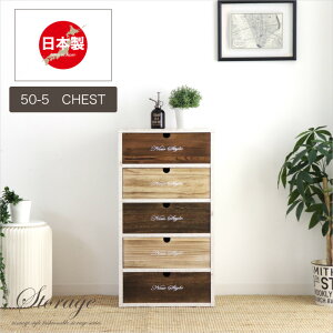 [BOX `FXg 50 5i o bN J[{bNX J[`FXg [Ƌ [ pC /  Jg[ AeB[N t` i { ؐ ʔ  sf-001