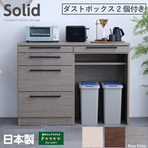 キッチンカウンター キッチン収納 ダストボックス 幅120 奥行43 高さ81 レンジ台 ゴミ箱 2個 完成品 日本製 国産 カウンター テーブル付き 引出し / 扉 フルオープンレール付き スライドテーブ