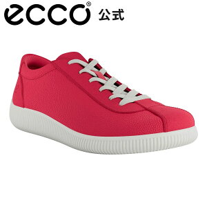 yECCO z ECCO SOFT ZERO W / GR[ \tg [ Xj[J[ EBY TEABERRY/TEABERRY bh Womens Xj[J[