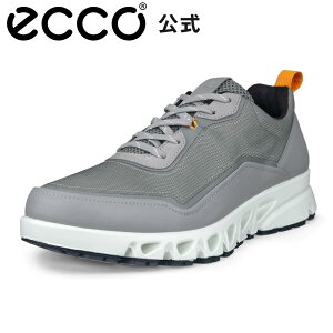 [ECCO] }`xg {v Y GORETEX h AEghAXj[J[ WILD DOVE / WILD DOVE / FANTA O[ ₷ C ʋ ʊw K J̓ ECCO MULTI-VENT M GR[