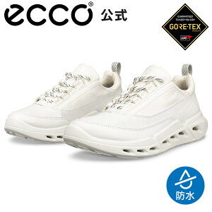 [ECCO����] BIOM 720 W �E�B�����Y GORE-TEX �h�� �X�j�[�J�[ SHADOW WHITE/WHITE/WHITE �G�R�[ �ʋC�� �C ���K �����S�n���� ���i�� �{�v �V���[�Y ���f�B�[�X �S�A�e�b�N�X �J�̓� �A�E�g�h�A �X���� ���