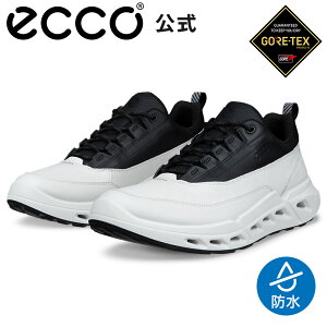 ���̓� [ECCO����] BIOM 720 M �����Y GORE-TEX �h�� �X�j�[�J�[ WHITE/BLACK/BLACK �G�R�[ �ʋC�� �C ���K �����S�n���� ���i�� �{�v �V���[�Y �a�m�C �J�̓� �E�H�[�L���O �S�A�e�b�N�X �A�E�g�h�A �X��