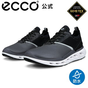 [ECCO����] BIOM 720 M �����Y GORE-TEX �h�� �X�j�[�J�[ MAGNET/CONCRETE/BLACK/BLACK �G�R�[ �ʋC�� �C ���K �����S�n���� ���i�� �{�v �V���[�Y �a�m�C �E�H�[�L���O �S�A�e�b�N�X �A�E�g�h�A �X���� ���s 
