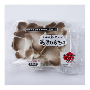 Ђ炽 80g×20pbN(1.6kg) Ɩpyz(̂)yN[֎w菤izyVCz