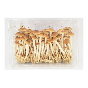 Ȃ܂ 100g×12pbN(1.2kg) Ɩpyz(̂)yN[֎w菤izyVCz