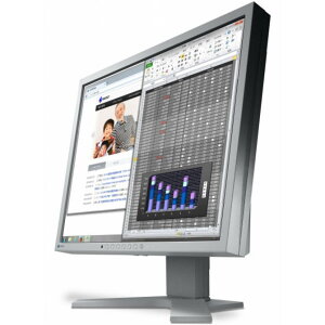 EIZO エイゾ FlexScan 19インチ スクエア 液晶ディスプレイ 1280×1024/DVI、D-Sub、DisplayPort/セレーングレイ/スピーカー S1934-HGY S1934HGY 【NE直】【法人様限定商品】