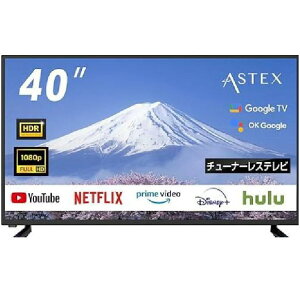 �y���������i�k�C���E����E���������j�zWIS �E�B�Y ASTEX 40�C���`google�`���[�i�[���X�e���r 40GTN�yNE���z
