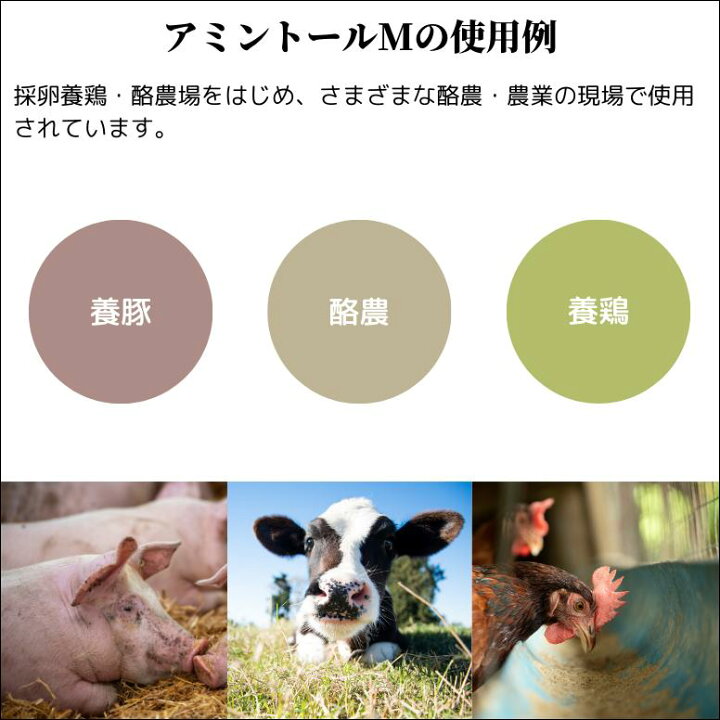 楽天市場】アミントールM A液 10リットル 畜産 家畜用 消臭 堆肥 発酵 