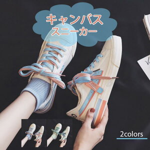 Xj[J[ fB[X LoX V[Nbg [Jbg JWA ₷ ₷ r AEghA 21NtV ꂢ 