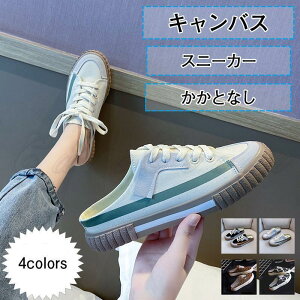 Xj[J[ fB[X T_ LoX ƂȂ [Jbg JWA ɂ ₷ r AEghA 21NtV ꂢ 