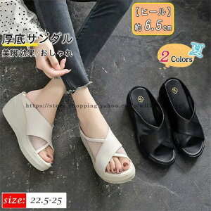 T_ EGbW\[ fB[X  ~[ {v 6.5cm bV Xbp q[   C r r RtH[g 