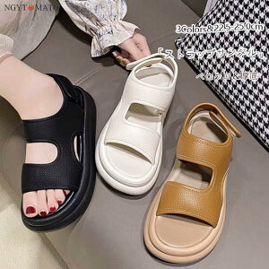 T_ fB[X T_  tbgq[ Xgbv vbgtH[ PU ₷ ₷  r  l JWA  