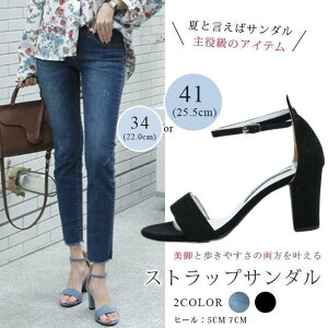 T_ fB[X XgbvT_ I[vgD q[ Vv r  ₷ XG[h  5cm 7cm S2F 傫TCY