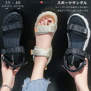 X|[cT_ fB[X  T_ r[`T_ XgbvT_ }WbNe[v  y  nCq[ ₷ 25.0cm