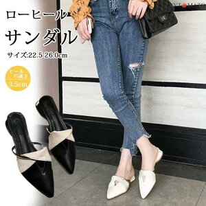 ~[ fB[X JWA T_ pvX ɂ l  |CebhgD [q[ 24.5cm r ₷ y