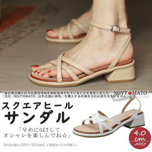 T_ fB[X ׃Xgbv XNGAq[ XgbvT_ I[vgD q[ r ₷ JWA ɂ l   4cm