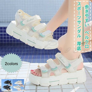 X|[cT_ fB[X T}[T_  }WbNe[v xN ~ r ₷ AEghA 21NĐV ꂢ 