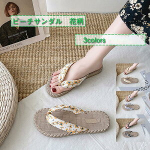 r[`T_ fB[X XbpT_ ԕ  JWA y ₷ _炩 r ~ AEghA IV