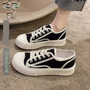 Xj[J[  fB[Y V[Y ꂢ ~ ₷ ɂ y JWA t pI t@bV r zCg 