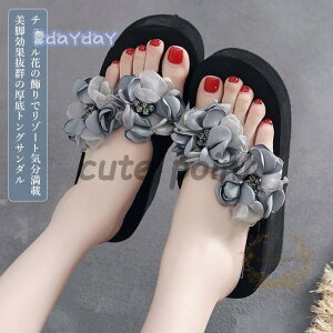 T_  fB[X gO r[T gO T_  r[`T_ ԕ gOT_ r ][g T}[V[Y