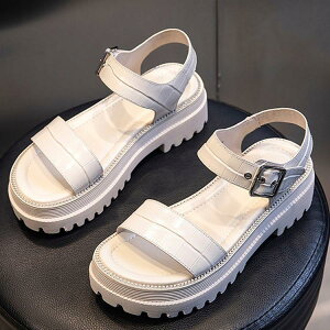 fB[X T_@ā@T}[T_@@C r[T T{T_ ₷@JWA  ɂȂ r