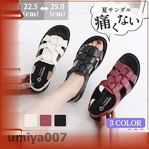 T_ OJT_ fB[X ₷ {v  傫TCY  ɂȂ r  Ȃ l  V tR[f