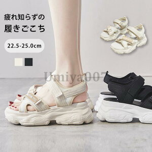 X|[cT_ fB[X  T_    bV ʋC ؍ JWA ₷ 傫TCY r