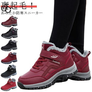 Xm[V[Y fB[X h hXj[J[ Y EB^[u[c H~ N  ےg ₷ hC ~pC y ȌC JWA