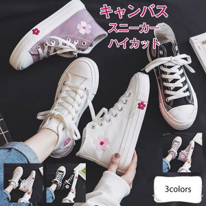 Xj[J[ fB[X LoX nCJbg ԕ R C JWA ₷ ₷  r AEghA 21NtV ꂢ 