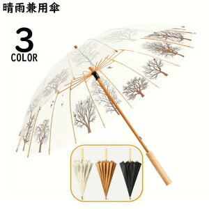 P P JP fB[X Y ؐ 16{ Jp a105cm Au a a y UVPA O΍