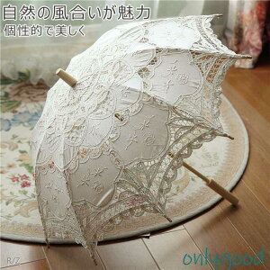 aP P  PDPfB[XԉŃuC_PxP P [X 傫TCY p yʎ DIY|ip