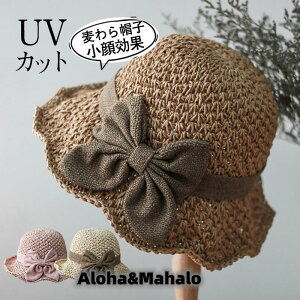 Xg[nbg Xq fB[X UVJbg ΍L 悯  Cxg AEghA ̓ O΍ {t Mtg