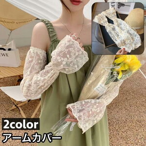 A[Jo[ UVJbg wȂ fB[X  Vv  VA[ [X xX[u ԕ  Ă΍ O΍ UV