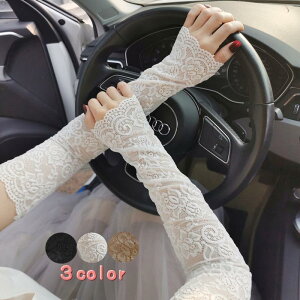 A[Jo[ A[EH[}[ fB[X Ăh~ Oh~ r [X  킢 i   wȂ