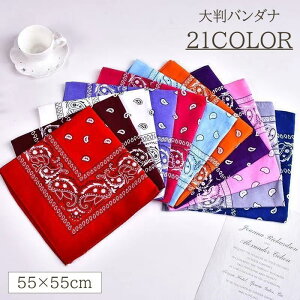 o_i fB[X Y XJ[t 唻 傫 55cm yCY[ 唻nJ` nJ` Op  킢  JoLx 