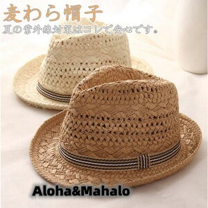 Xq Y fB[X q eq _ Xq Xg[nbg K[fjO 悯 St ނ UV UV΍ ̓ s