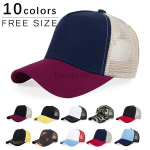 Lbv Y Xq bVLbv Vv ʋC\ y MǑ΍  Xq ʋC Q TCY 싅 t  ނ ̓