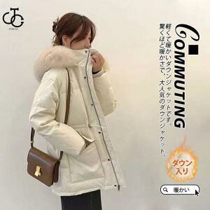 _EWPbg fB[X ~ t[ht tFCNt@[ WbvAbv  n H~ _ER[g  g ۉ h HD ɒg