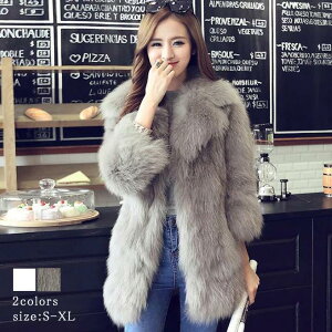 t@[R[g fB[X єR[g tHbNX bOR[g tFCNt@[   㒅 g H~ h fB[Xt@bV xgt