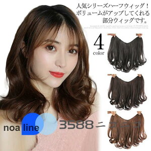 EBbO n[tEBbO GNXe V[g ^b`  ݑ EBbO J[ Xg[g O ~fBA 25cm/35cm/4